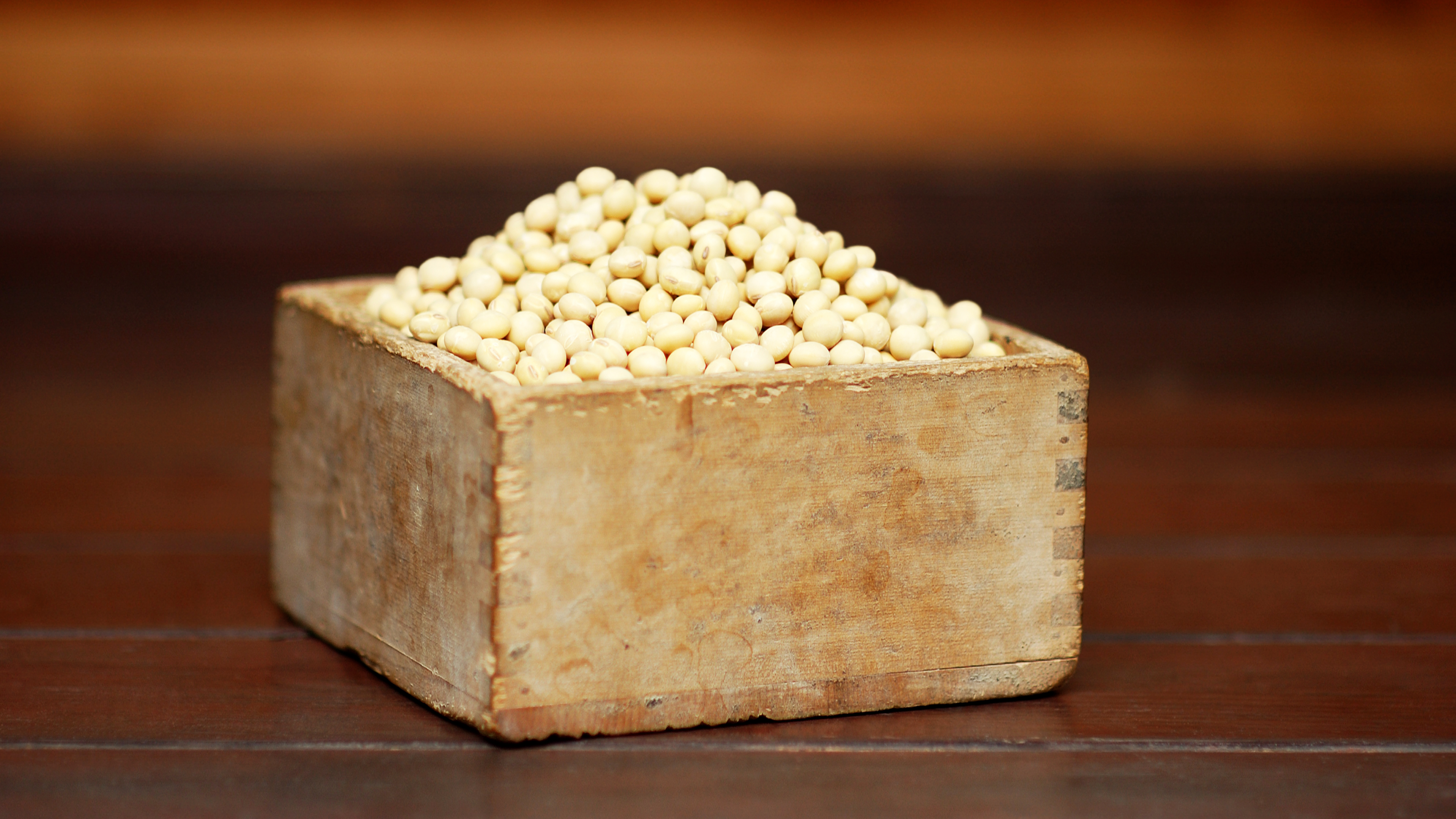 喫煙と肺がん:因果関係の真相を科学で解く【東京情報大学・嵜山陽二郎博士のヘルスケア講座】